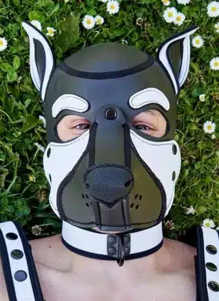 Mr. S Neo Frisky Pup Hood White