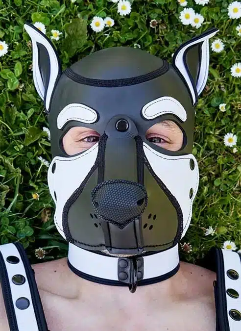 Mr. S Neo Frisky Pup Hood White