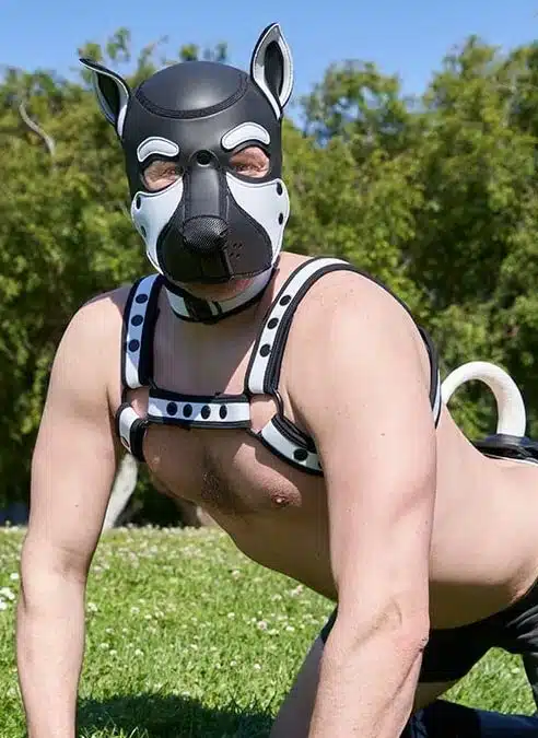 Mr. S Neo Frisky Pup Hood White