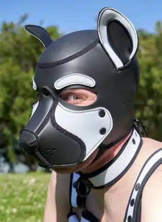 Mr. S Neo Frisky Pup Hood White