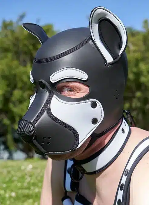 Mr. S Neo Frisky Pup Hood White