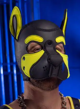 Mr. S Neo Frisky Pup Hood Yellow