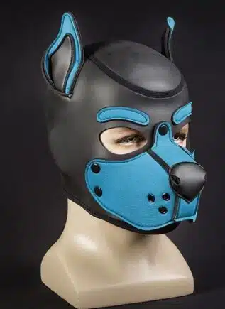 Mr. S Neo K9 Hood Aqua