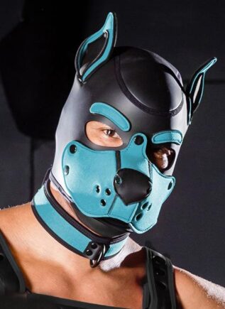 Mr. S Neo K9 Hood Aqua