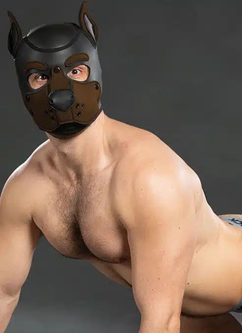 Mr. S Neo K9 Hood Brown