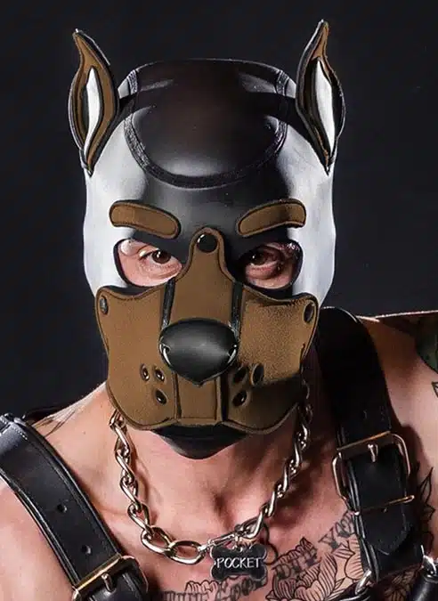 Mr. S Neo K9 Hood Brown