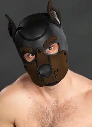 Mr. S Neo K9 Hood Brown