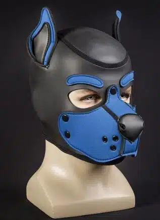 Mr. S Neo K9 Hood Cobalt Blue