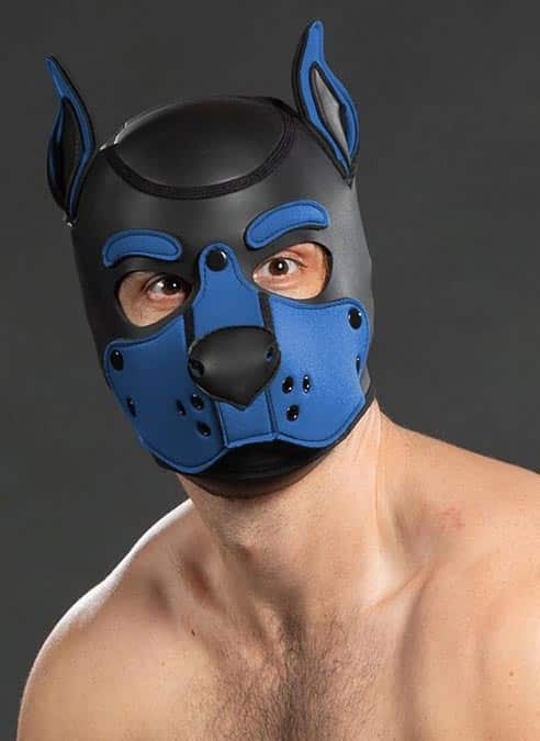 Mr. S Neo K9 Hood Cobalt Blue