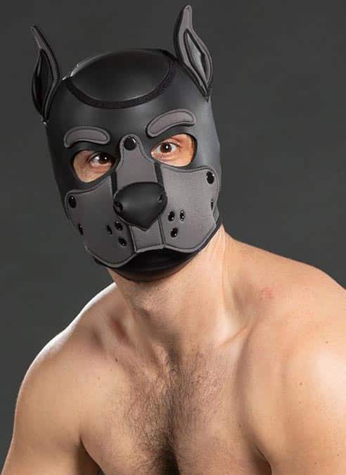 Mr. S Neo K9 Hood Grey