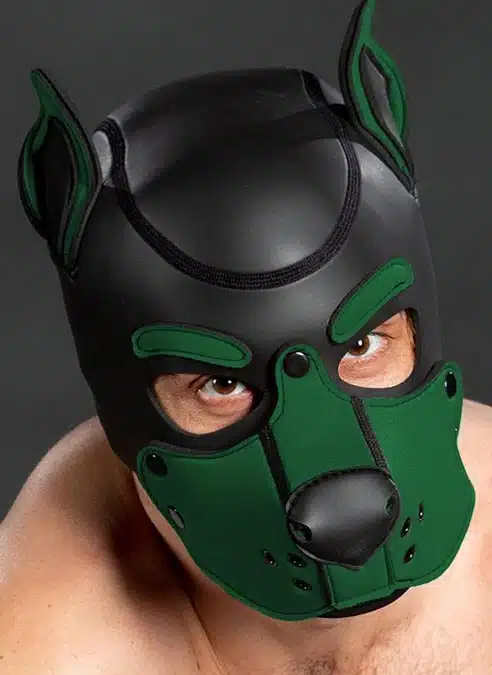 Mr. S Neo K9 Hood Hunter