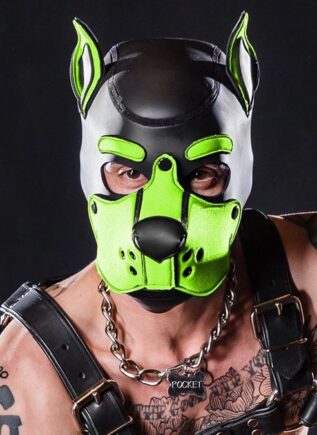 Mr. S Neo K9 Hood Lime