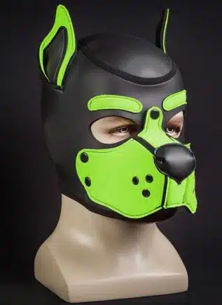 Mr. S Neo K9 Hood Lime