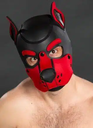 Mr. S Neo K9 Hood Red