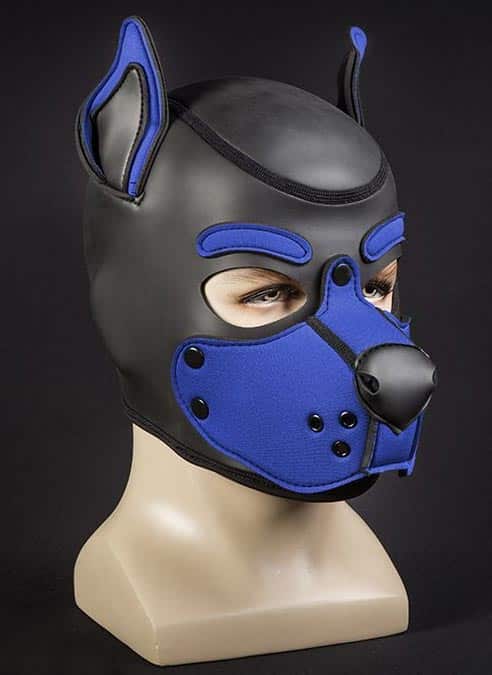 Mr. S Neo K9 Hood Royal Blue
