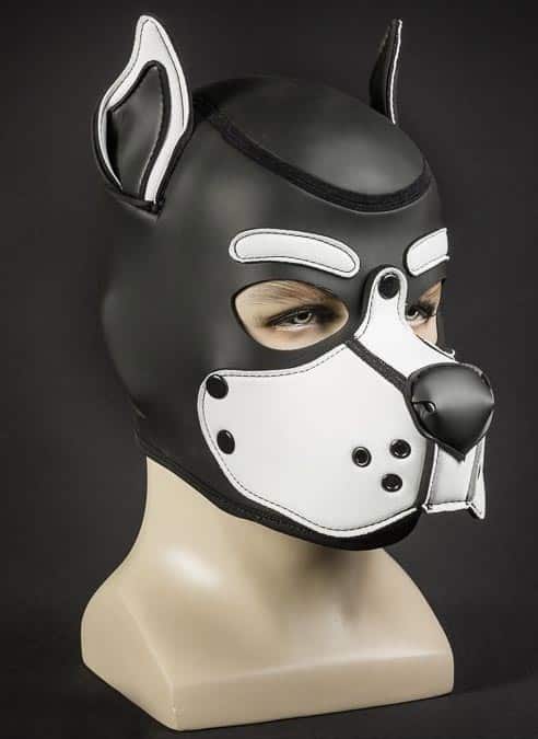 Mr. S Neo K9 Hood White