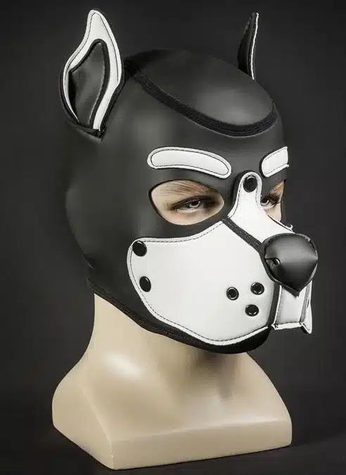 Mr. S Neo K9 Hood White