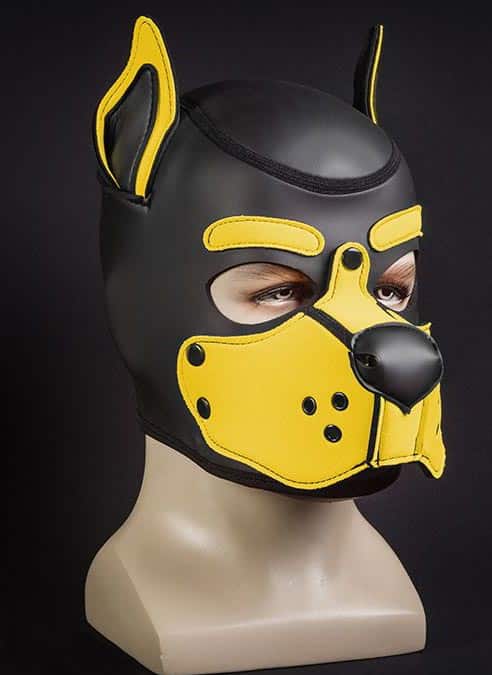 Mr. S Neo K9 Hood Yellow