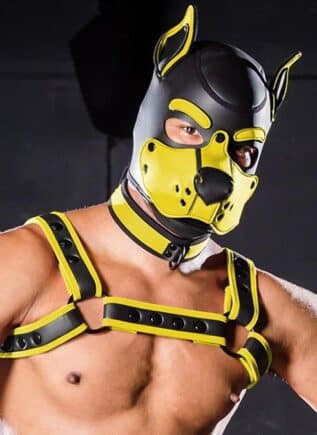 Mr. S Neo K9 Hood Yellow