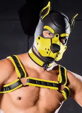 Mr. S Neo K9 Hood Yellow