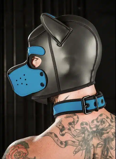 Mr. S Neoprene Puppy Collar Aqua