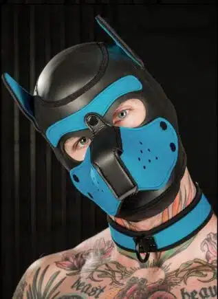 Mr. S Neoprene Puppy Collar Aqua