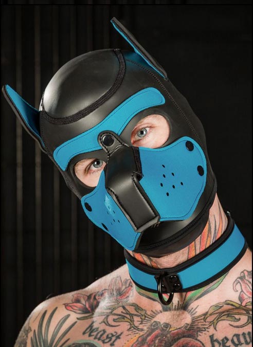 Mr. S Neoprene Puppy Collar Aqua