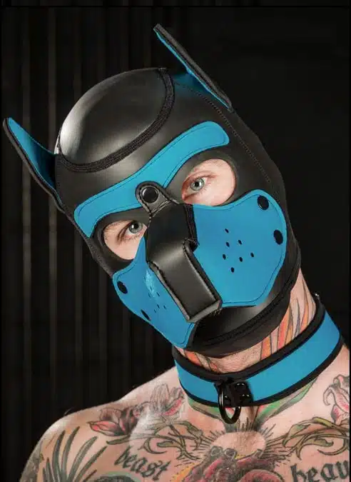 Mr. S Neoprene Puppy Collar Aqua