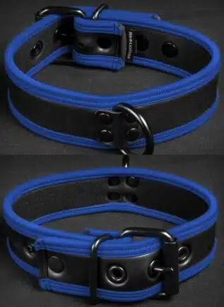 Mr. S Neoprene Puppy Collar Blue piping