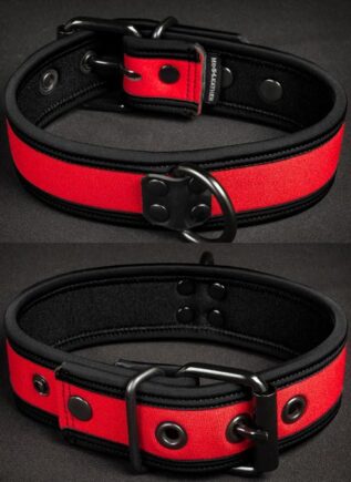 Mr. S Neoprene Puppy Collar Red