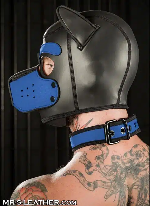 Mr. S Neoprene Puppy Hood Cobalt blue