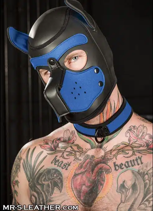 Mr. S Neoprene Puppy Hood Cobalt blue