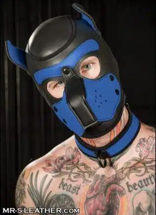 Mr. S Neoprene Puppy Hood Cobalt blue