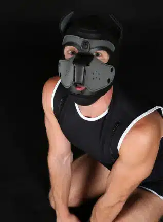 Mr. S Neoprene Puppy Hood Grey
