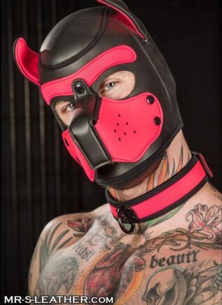 Mr. S Neoprene Puppy Hood Pink