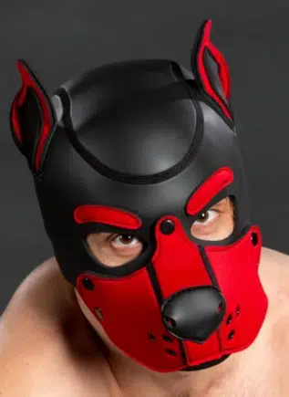 Mr. S Neoprene Puppy Hood Red