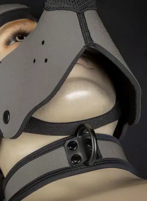 Mr. S Neoprene WOOF! Head Harness Grey
