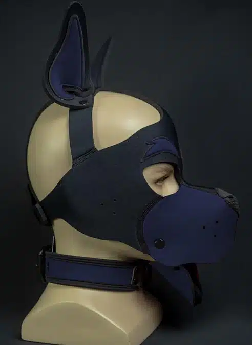 Mr. S Neoprene WOOF! Head Harness Navy
