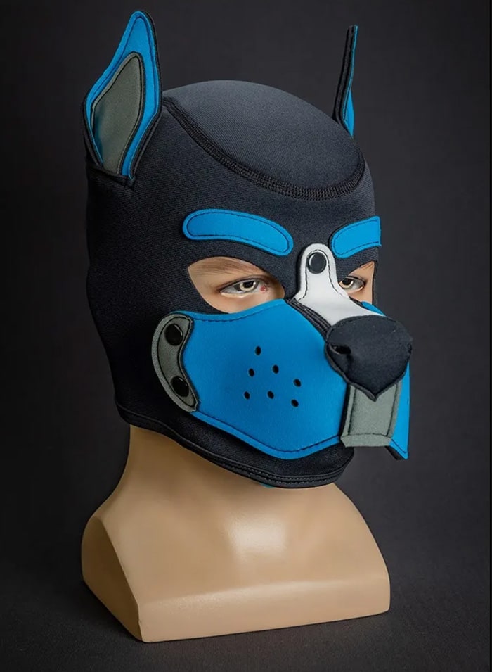 Mr. S Custom Neo K9 Hood