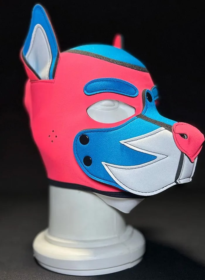 Mr. S Custom Neo K9 Hood