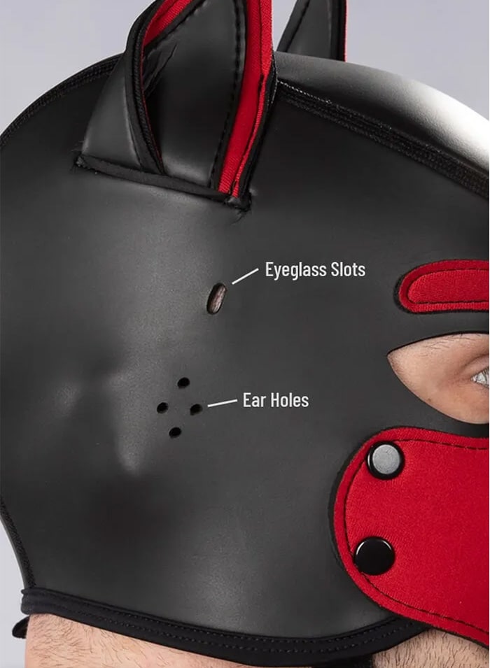 Mr. S Custom Neo K9 Hood