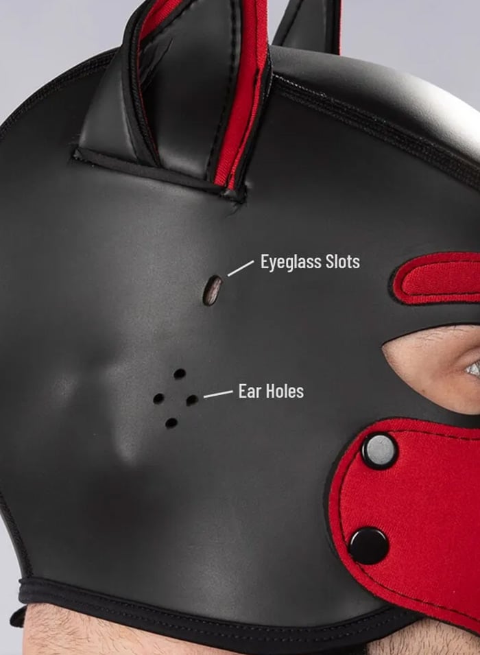 Mr. S Custom Neo K9 Hood