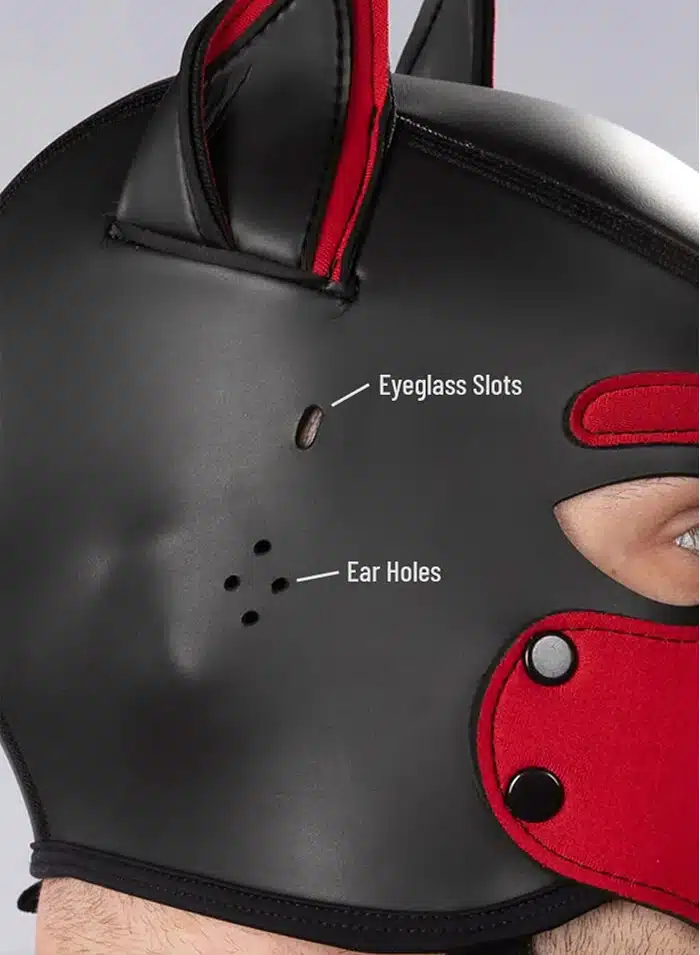 Mr. S Custom Neo Mutt Hood