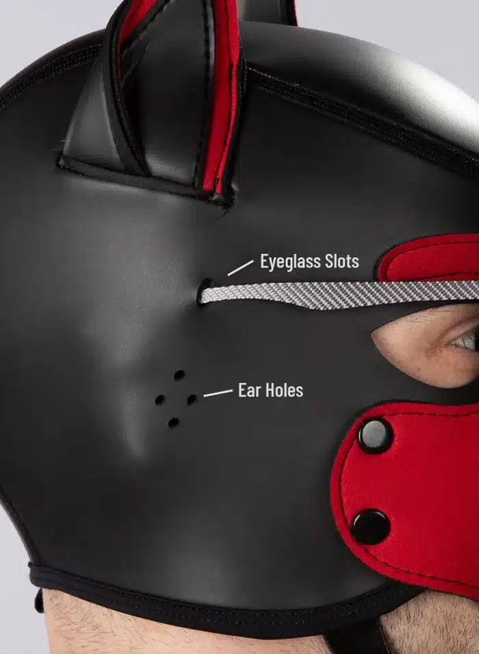 Mr. S Custom Neo Mutt Hood