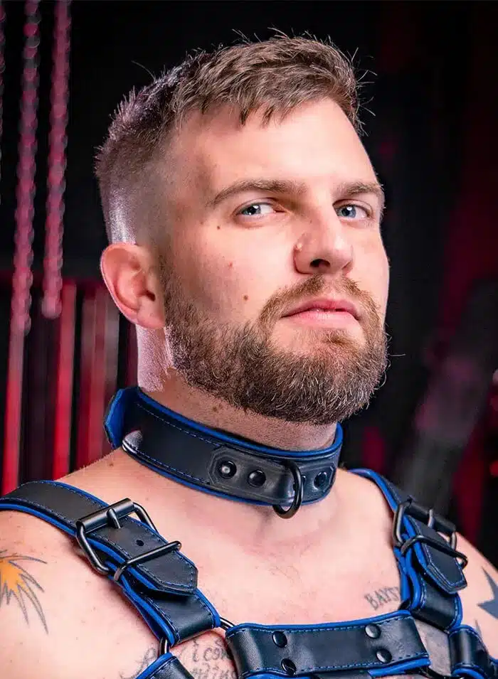 Mr. S Leather Hardline Collar Blue