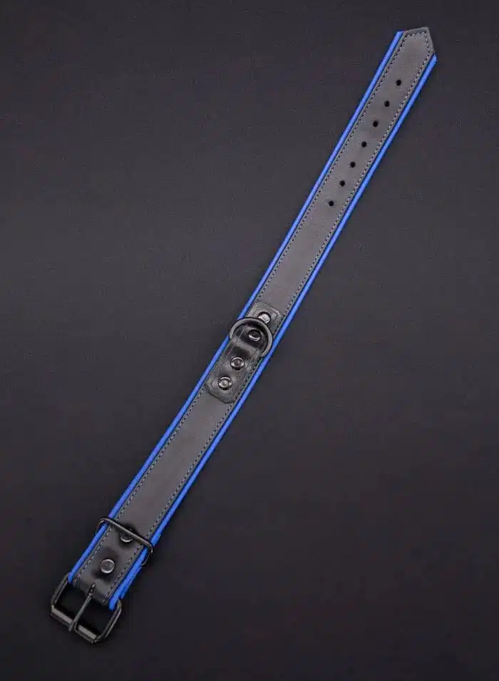 Mr. S Leather Hardline Collar Blue