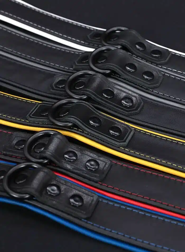 Mr. S Leather Hardline Collar Blue