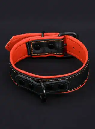 Mr. S Leather Hardline Collar Orange