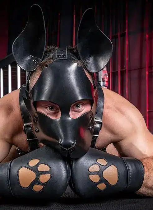 Mr. S Leather WOOF! Muzzle