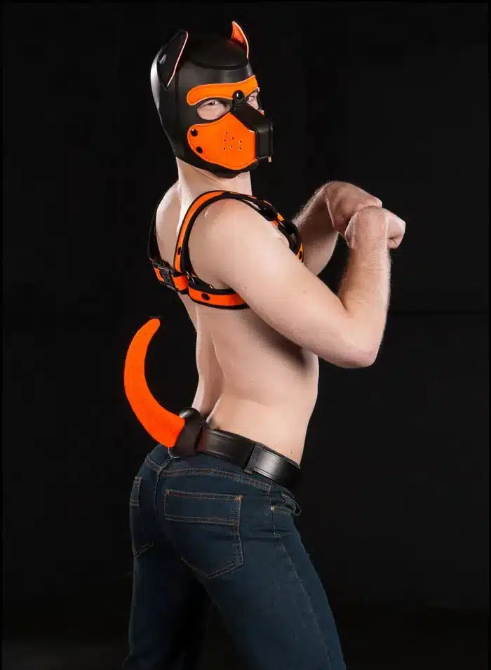 Mr. S Leather Woofy Show Tail Color